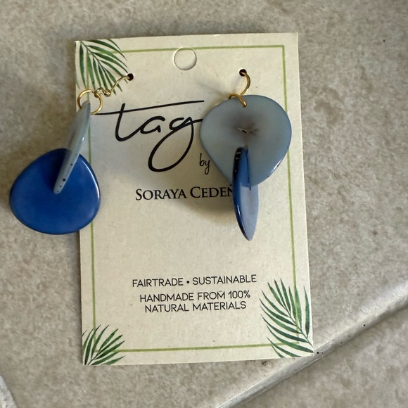 Tagua Blue Earrings and necklace - Picture 2 of 6